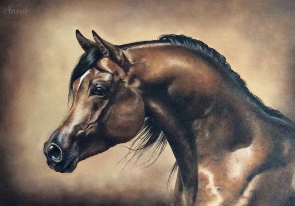 Katarzyna Stefanowicz - Equine Art